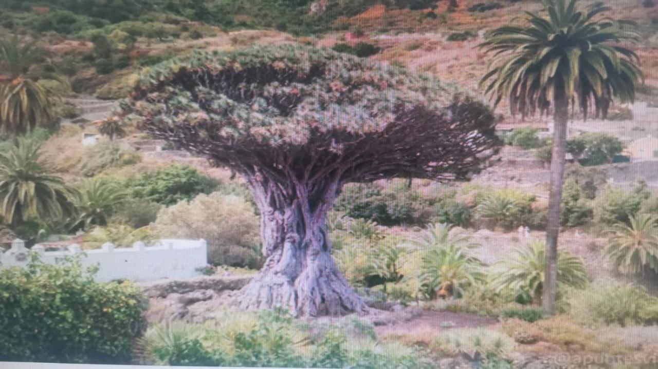 Tradicional Casa Canaria Con Piscina Y Vistas Al Teide Icod De Los Vinos Exteriér fotografie